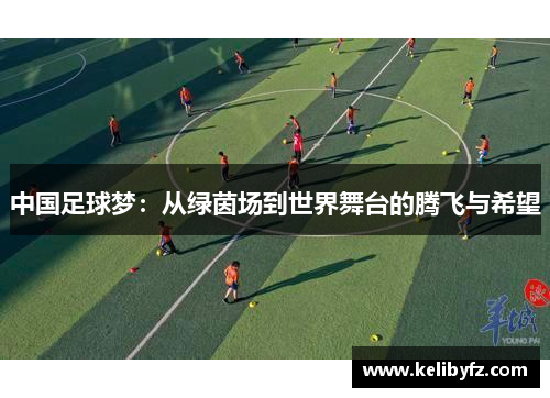 中国足球梦：从绿茵场到世界舞台的腾飞与希望
