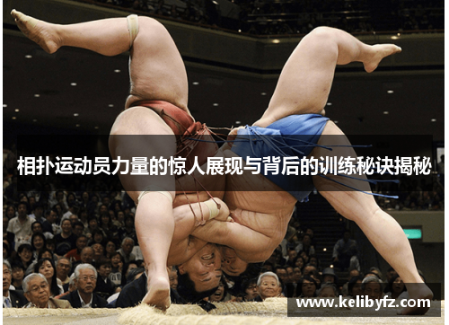 相扑运动员力量的惊人展现与背后的训练秘诀揭秘