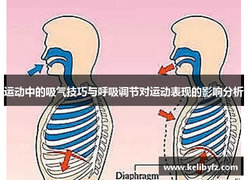 运动中的吸气技巧与呼吸调节对运动表现的影响分析