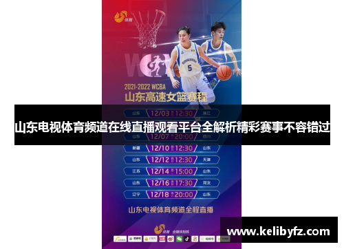 山东电视体育频道在线直播观看平台全解析精彩赛事不容错过