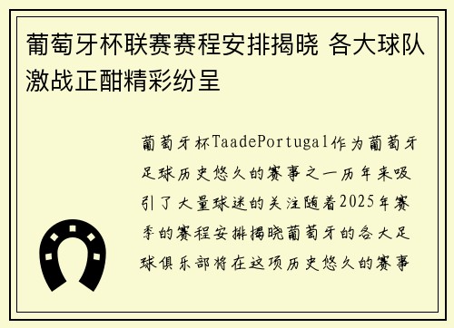葡萄牙杯联赛赛程安排揭晓 各大球队激战正酣精彩纷呈