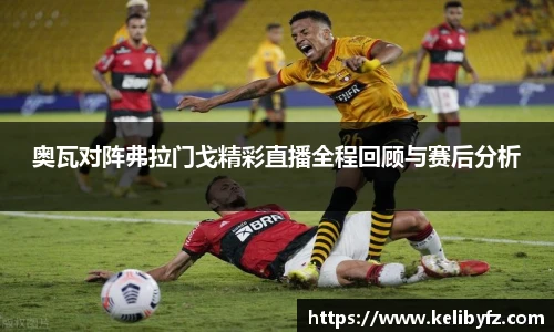 DB电竞手机网页版登录